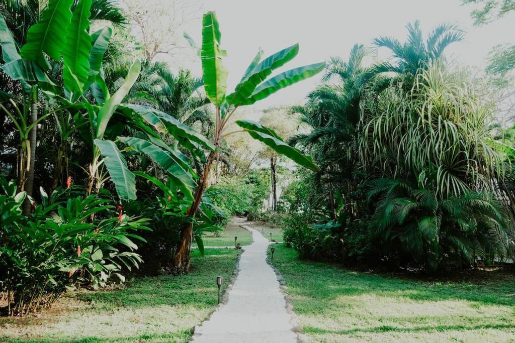 Villas Almendros Playa Santa Teresa  المظهر الخارجي الصورة